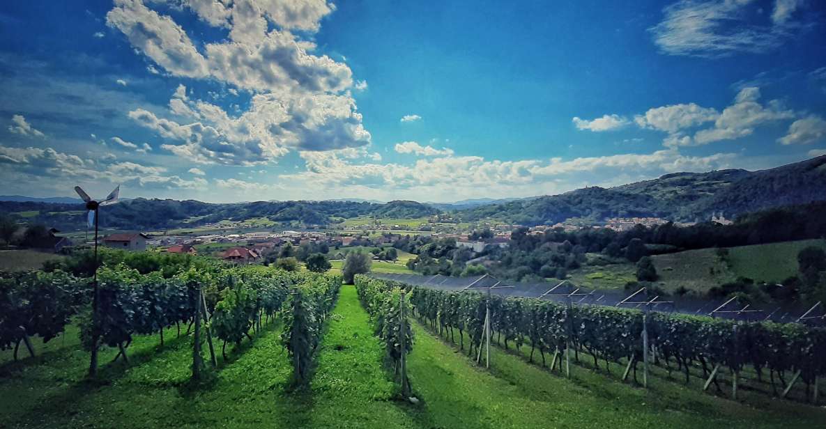 From Zagreb: Samobor & Plesivica Wine Road, Private - Samobor Exploration