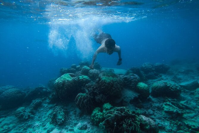 Full-Day Boat Trip in Hurghada With Snorkeling and Lunch - Snorkeling and Diving