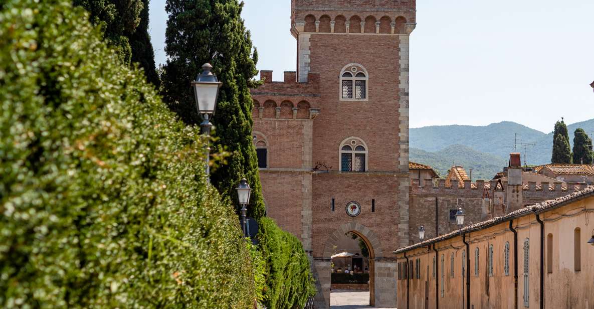 Full Day Bolgheri Tuscan Private Tour From Florence - Bolgheri Winemaking Region Highlights