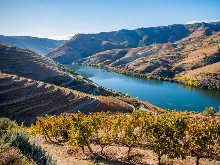 Full-Day Douro Valley Wine Tasting & Lunch & Boat Tour - Inclusions