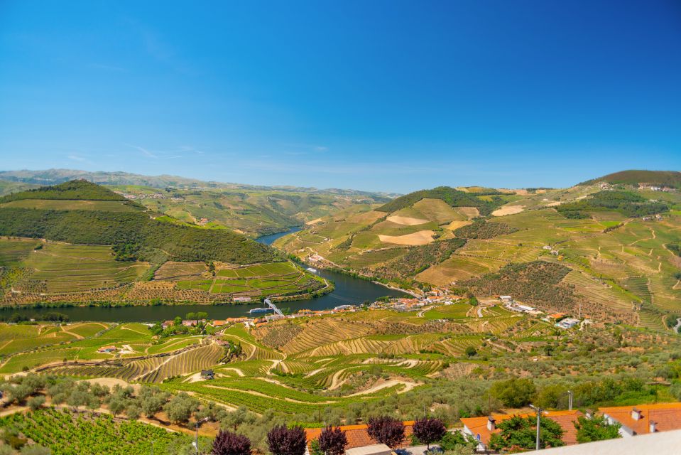 Full-Day Douro Wine Tour With Lunch and River Cruise - Inclusions