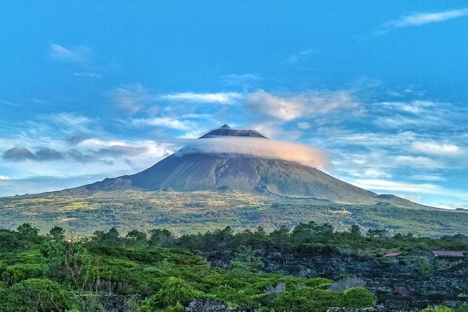 Full-Day Guided Tour in Pico Island - Inclusions