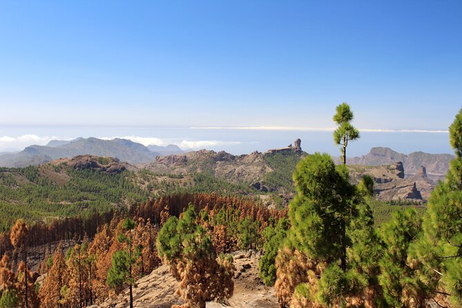 Full Day Hiking Gran Canaria Peaks of Gran Canaria - Meeting and Pickup Locations