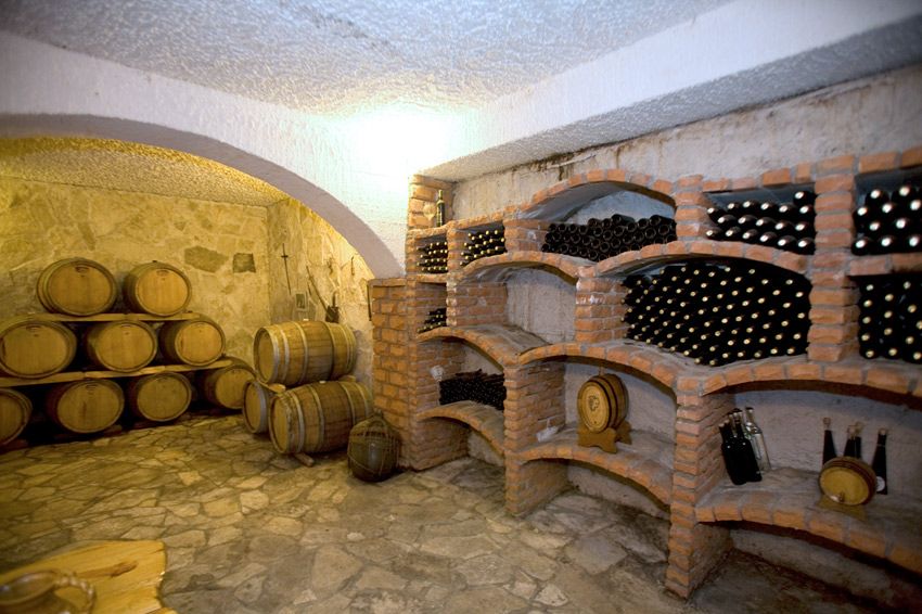 Full-Day Peljesac Wine Tour - Experience Highlights