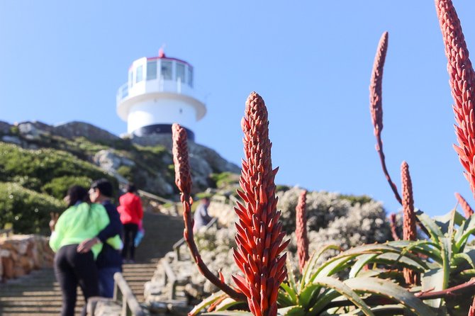 Full Day Private Cape Point & Peninsula - Boulders Beach Penguins