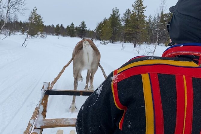 Full-Day Reindeer Tour With Pickup in Kiruna - Activities