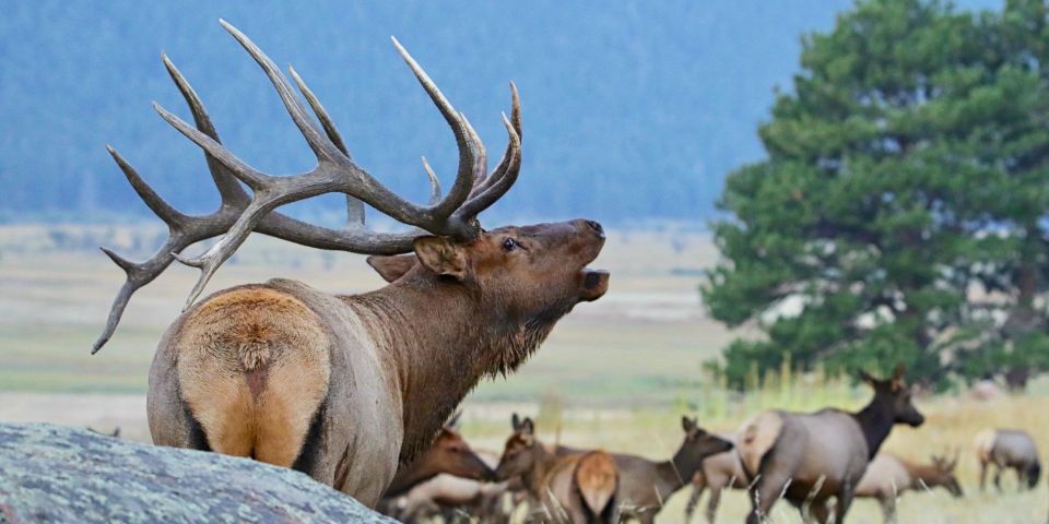 Full-Day RMNP Over the Top Tour - RMNPhotographer - Itinerary