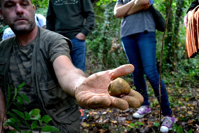 Full-Day Small-Group Truffle Hunting in Tuscany With Lunch - Meeting the Truffle Hunter