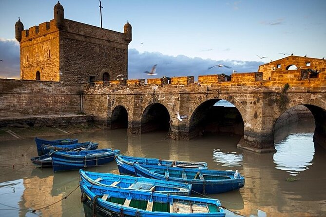 Full Day Trip to Essaouira City From Marrakech - Visiting the Port