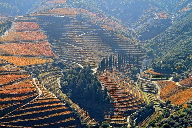 Full Day, Wine Tasting, River Cruise and Lunch From Porto - Inclusions