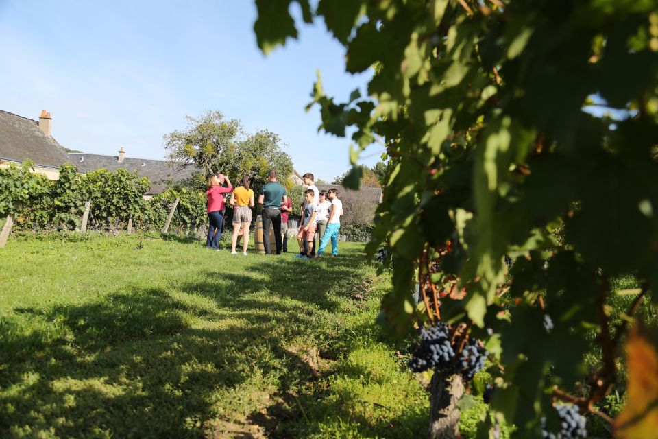 Full Day Wine Tour With Lunch at the Winery: Vouvray & Chinon - Inclusions