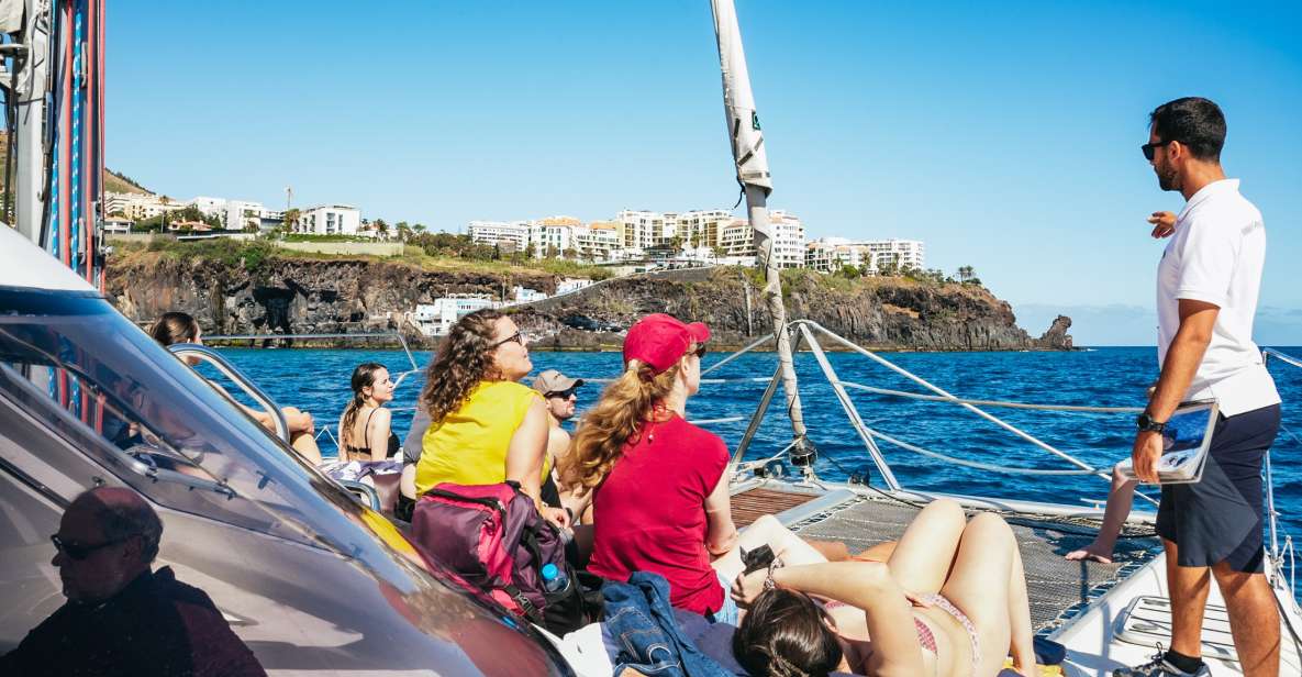 Funchal: Dolphin and Whale Watching by Luxury Catamaran - Itinerary and Experience