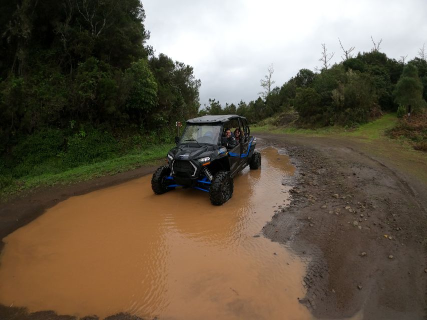 Funchal: Private Off-Road Buggy Tour With Guide & Transfers - Activities Included