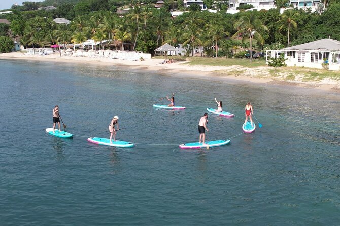 Galleon Beach Paddle Board and Snorkeling Gear Rental - Positive Customer Reviews