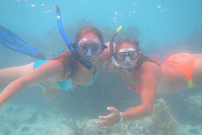 Glass Bottom Boat and Snorkeling Combo in Bermuda - Included in the Tour