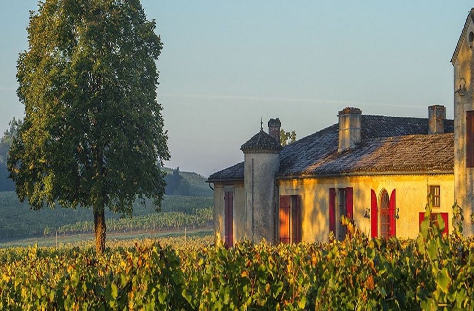 Gourmet Experience at Chateau Sigalas Rabaud Premier Cru - Highlights of the Visit