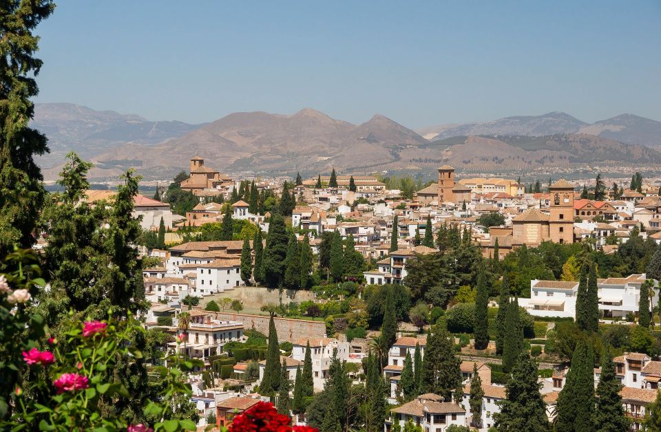 Granada - Historic Center Private Walking Tour - Highlights