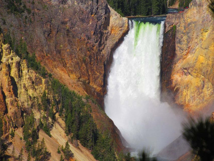 Grand Canyon of the Yellowstone: Loop Hike With Lunch - Highlights of the Trail