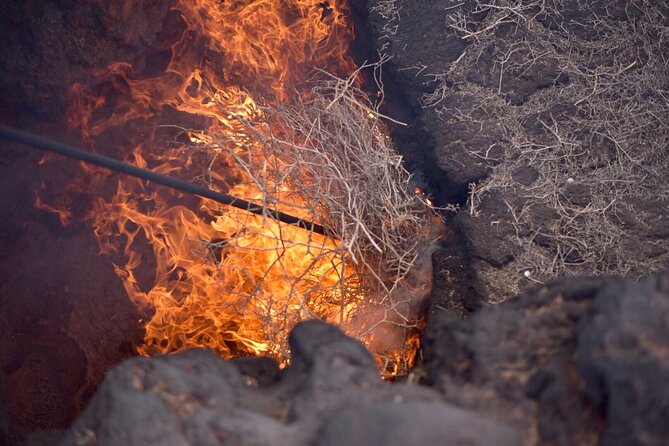 Grand Tour to Timanfaya and Jameos Del Agua for Cruise Passengers - Tour Itinerary