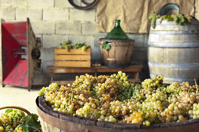 Grape Stomping in Tuscan Farmhouse From Florence - Grape Stomping Experience