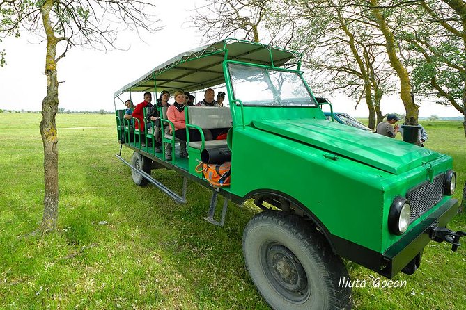 GROUP Guided Day Trip to the Danube Delta, Tulcea - Letea - Included Activities