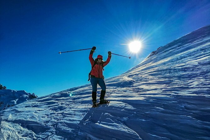 Guided Snowshoeing Day to Discover the Dolomites - Inclusions and Highlights