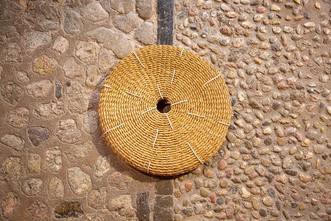 Guided Tasting Tour in 16TH Century House and Olive Oil Factory - Tasting of Mallorcan Products