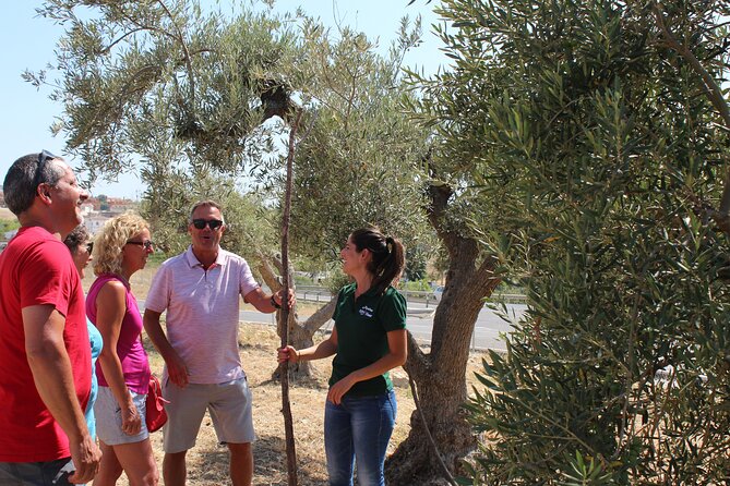 Guided Tour and Olive Oil Tasting in Alhaurin El Grande (Malaga) - Historical Olive Oil Mill