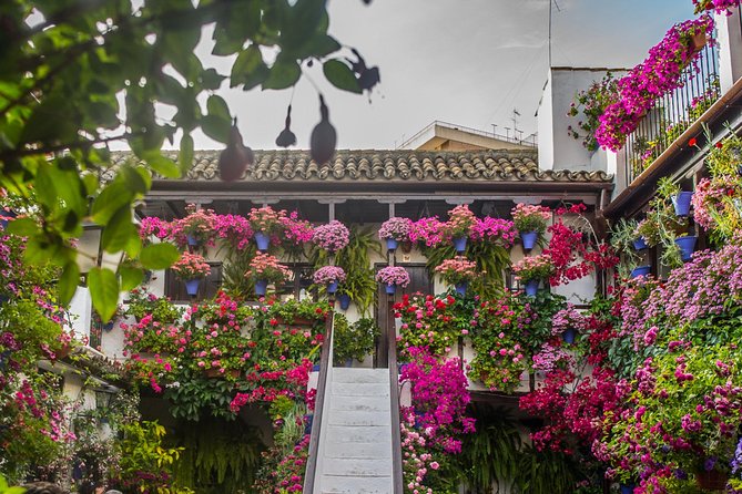 Guided Tour to the Popular Patios of Cordoba - Tour Details and Inclusions