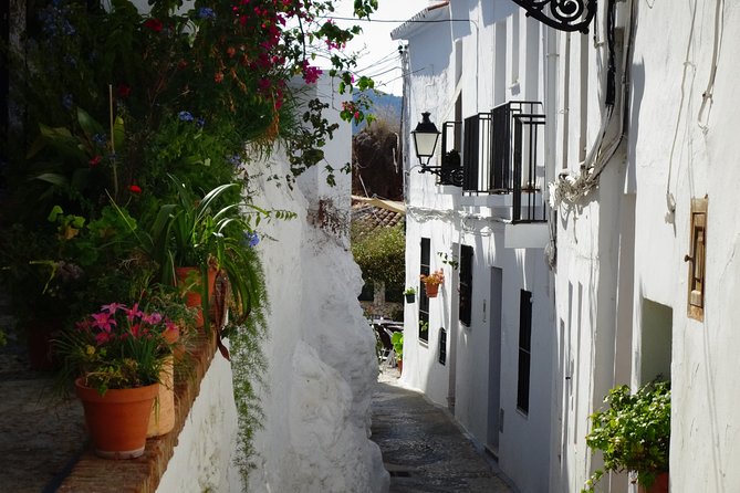 Guided Walking Tour of the Old Town of Frigiliana - Meeting Point and End Point