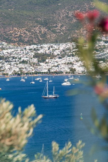 Half Day Bodrum (Halicarnasos) Tour by Car - Pricing and Inclusions