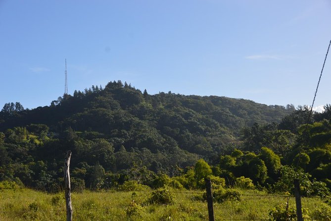 Half-Day Center of Puerto Rico Cultural Tour - Included Amenities