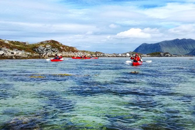 Half Day Kayak - Northern Explores AS - Paddling Amid Lofotens Islands