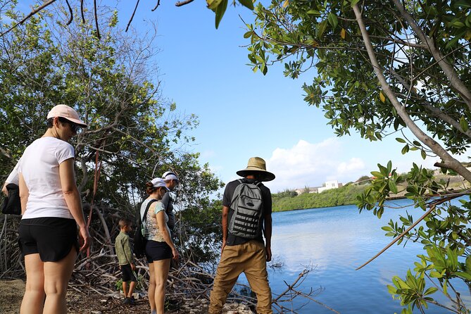 Half-Day Spanish Lagoon Mangrove Trail With Private Guide - Discovering Archaeological Wonders