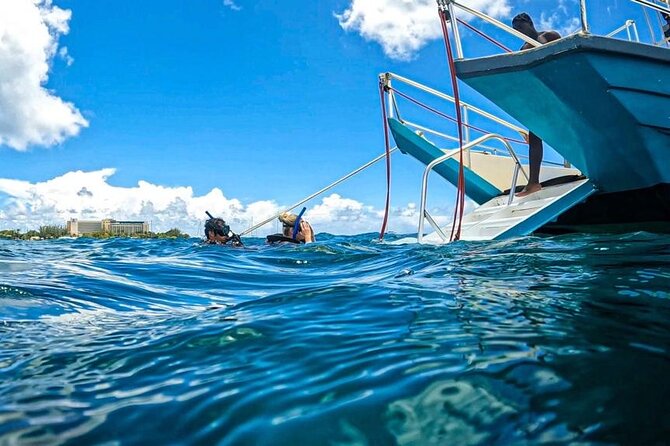 Harbour Lights - Chair & Turtle & Shipwreck Snorkel Tour - Transportation and Meeting Point