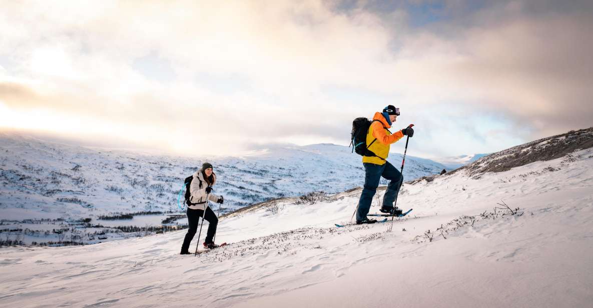 Hardangerfjord: Exclusive Snowshoe Hike With Majestic Views - Guided Snowshoeing Adventure