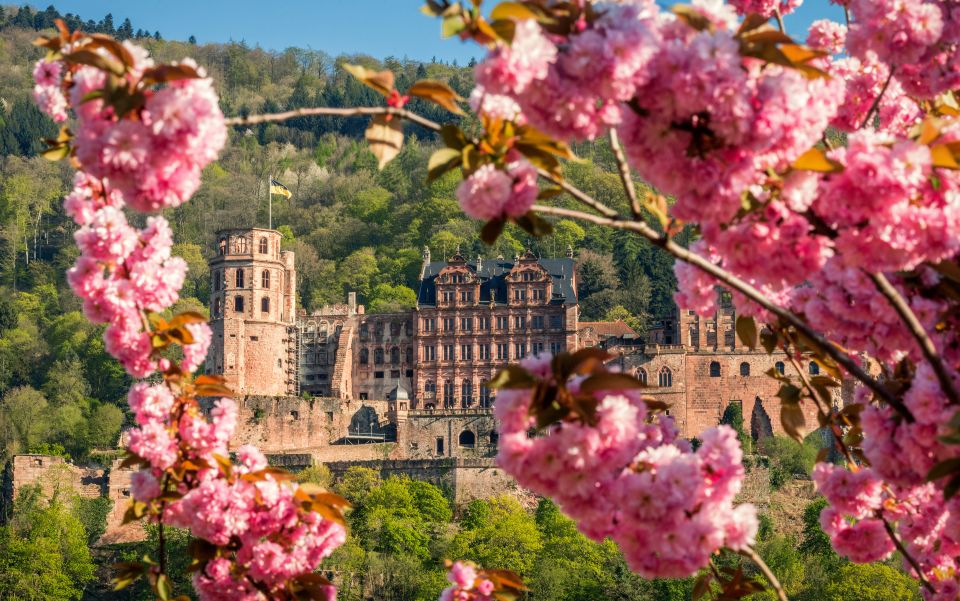 Heidelberg: Sightseeing Bus and Castle Tour - Inclusions and Exclusions