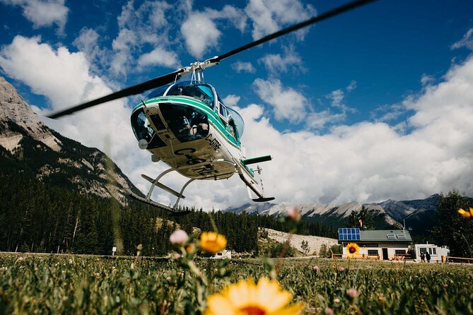 Helicopter Tour Over the Canadian Rockies - Iconic Sights and Landmarks