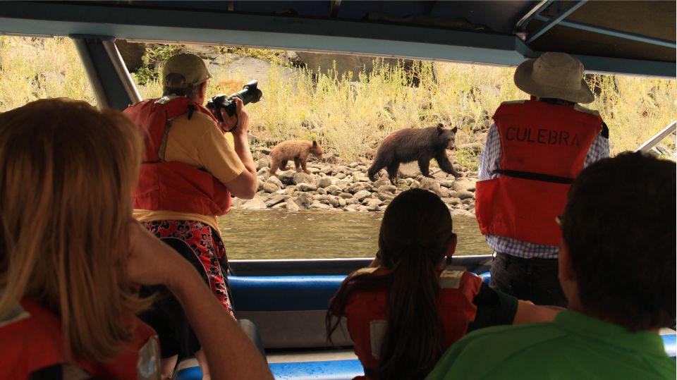 Hells Canyon: Yellow Jet Boat Tour to Kirkwood, Snake River - Highlights of the Jet Boat Adventure