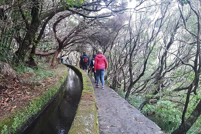 Hike 25 Fountains & Levada Risk Self-Guided - Highlights of the Journey