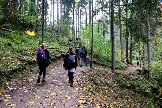 Hike In Gauja National Park - Up And Down The Switzerland Of Latvia - Highlights of the Scenic Route