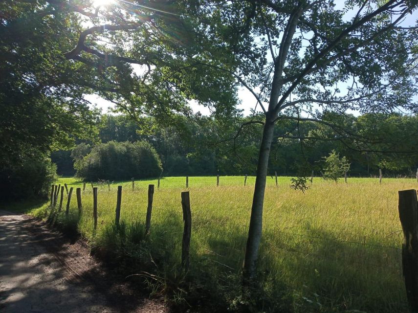 Hikes With a Picnic Backpack in the Ardennes - Booking and Payment