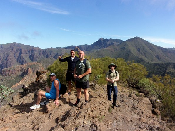 Hiking in Tenerifes Great Outdoors - Guided Tour Highlights