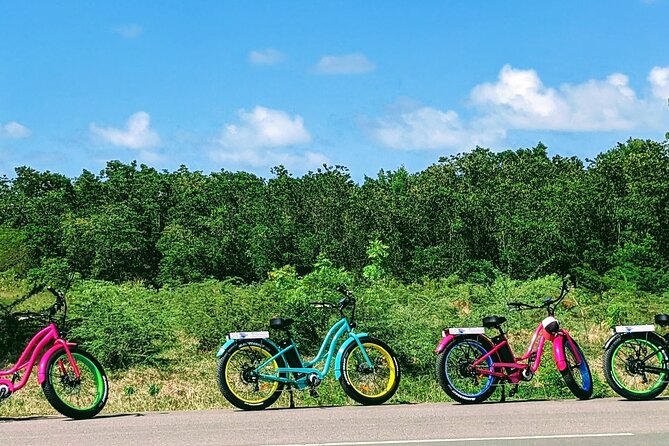 Historic City, Fort and Beach E-Bike Tour - Historic Fort James