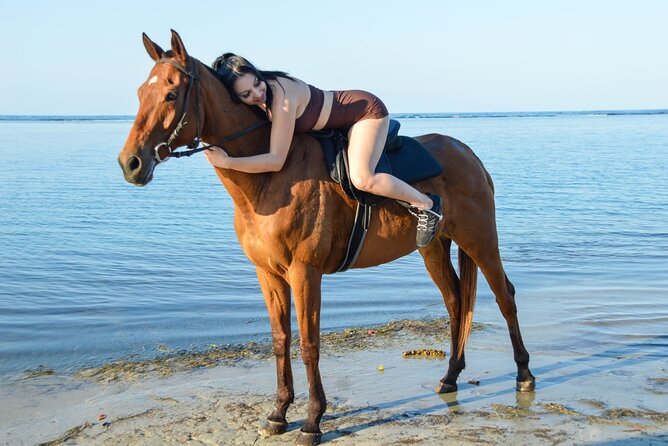 Horse Back Riding and Blue Hole From Montego Bay - Health and Safety Guidelines