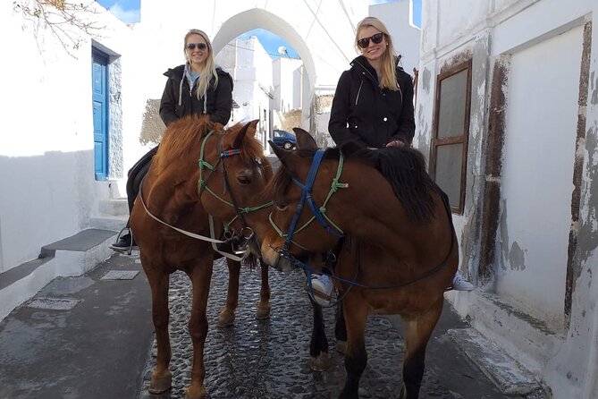 Horse Riding--Explore Secret Thera - Included Equipment and Provisions