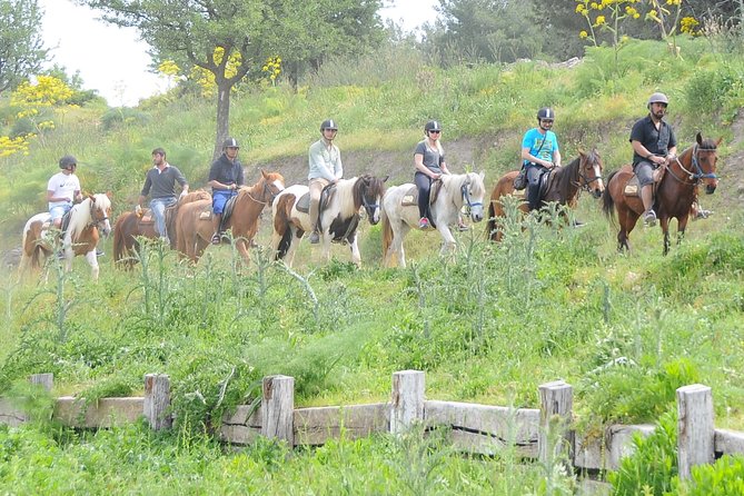 Horse Riding in Kusadasi - Tour Inclusions and Highlights