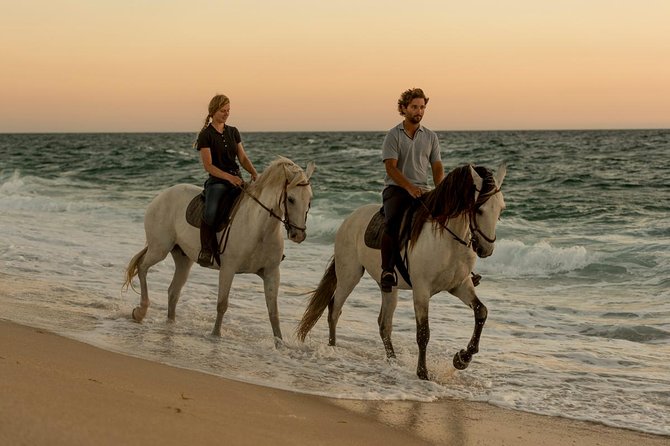 Horse Riding on the Beach - Confidence-Building Horseback Experience