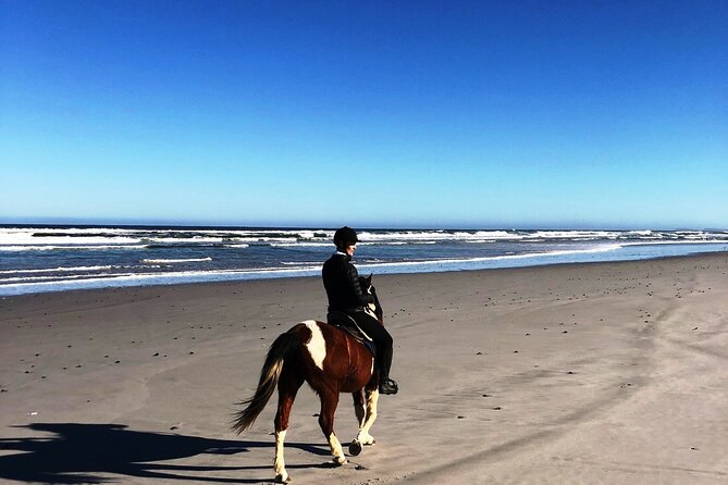 Horse Safari & Beach Ride Western Cape - Meeting Point and Duration