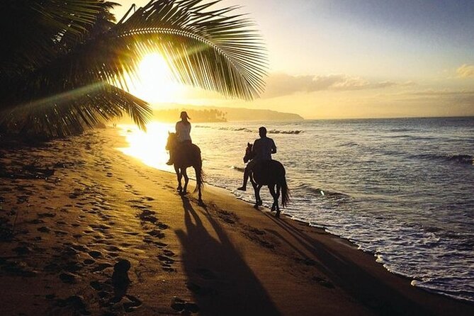 Horseback Riding at Macao Beach - Reviews and Ratings